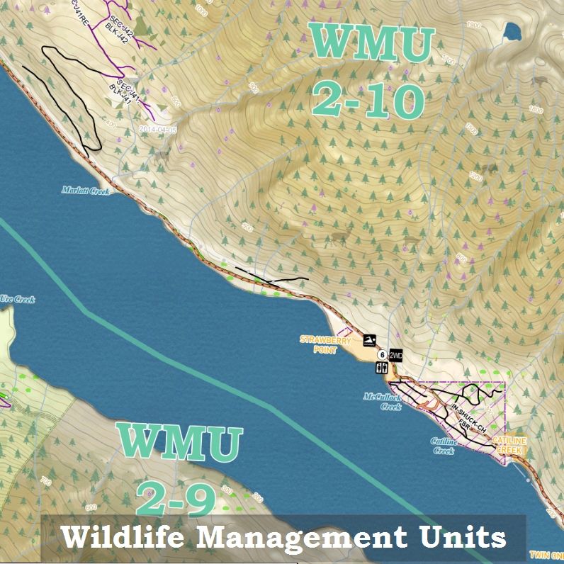 Wilderness Pro: Region 8 - Okanagan