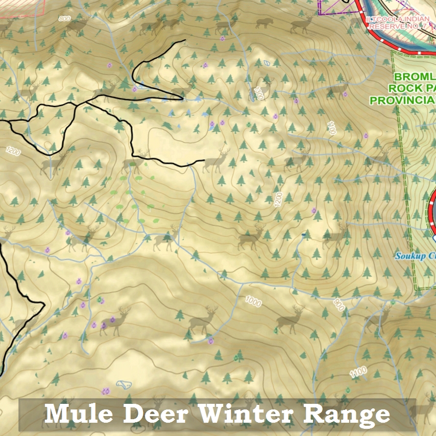 Wilderness Pro - Region 8: Okanagan